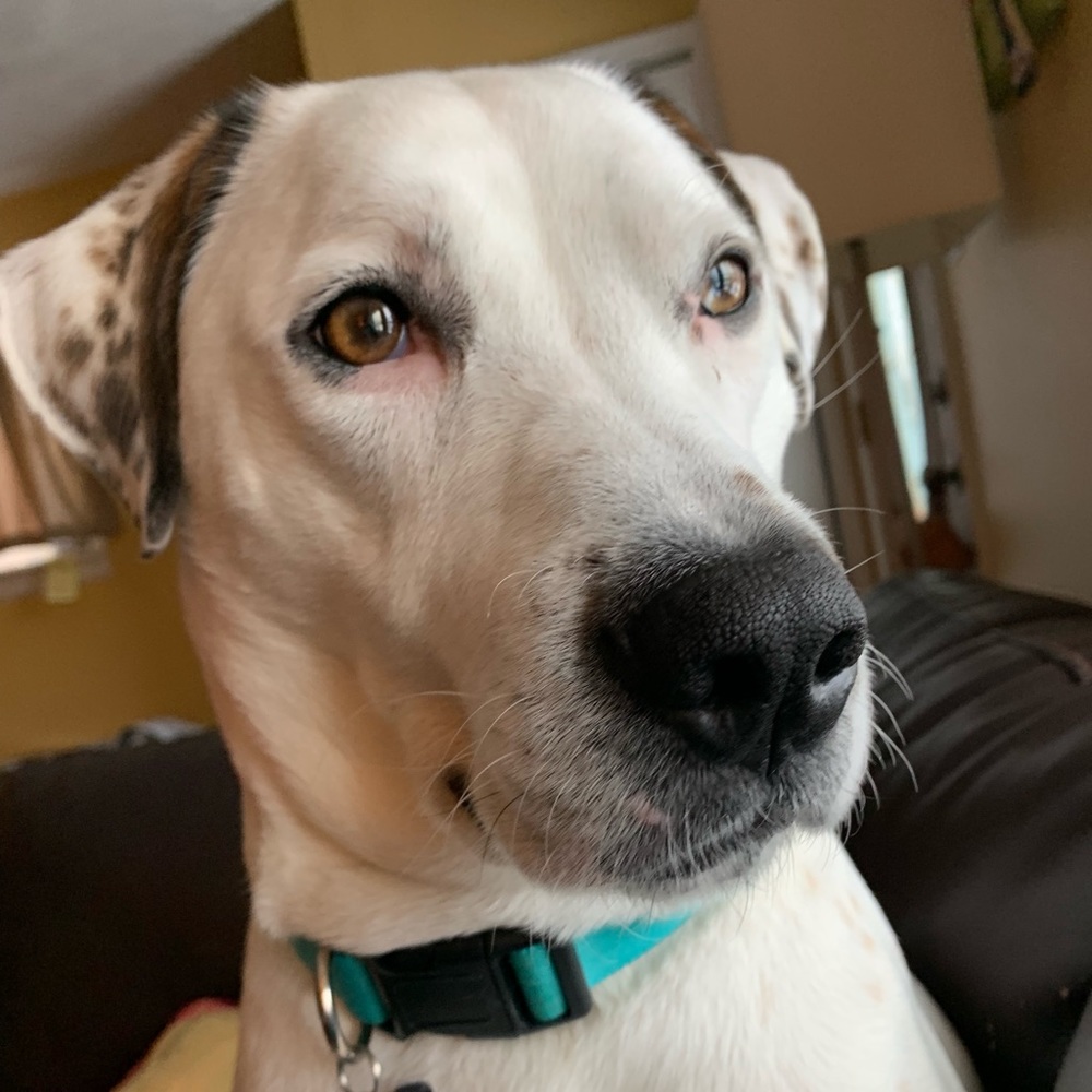 Meet your Posher, Tanya